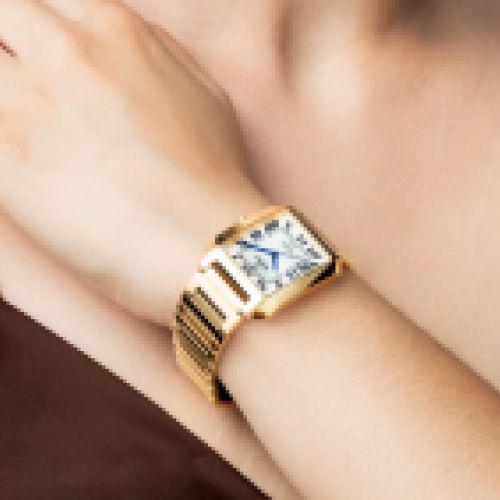 FESTINA