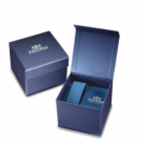 FESTINA