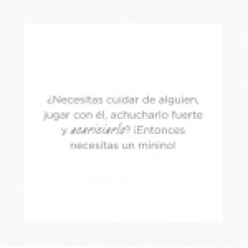 Sin título
